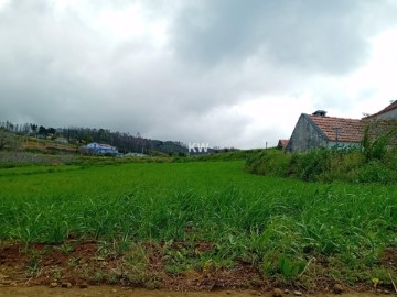 Terreno em Ponta do Pargo