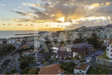 Apartment 1 Bedroom in Funchal (Santa Luzia)