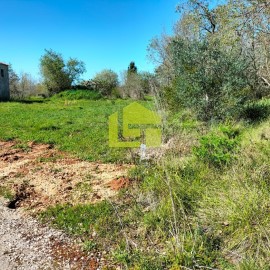 Terreno em Condeixa-a-Velha e Condeixa-a-Nova