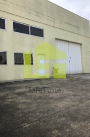 Industrial building / warehouse in Constantim e Vale de Nogueiras