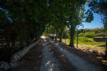 Maisons de campagne 5 Chambres à Encarnação