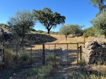 Land in Beirã