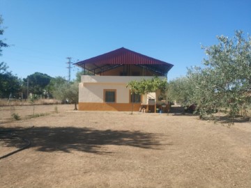 Casa o chalet 5 Habitaciones en Valdetorres de Jarama