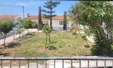 Maison 3 Chambres à Santa Maria, São Pedro e Sobral da Lagoa