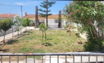 Maison 3 Chambres à Santa Maria, São Pedro e Sobral da Lagoa