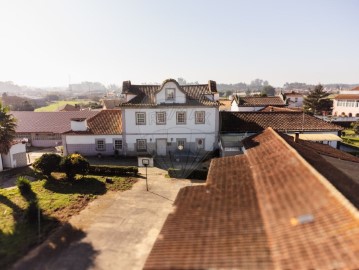 Maison 10 Chambres à Avanca