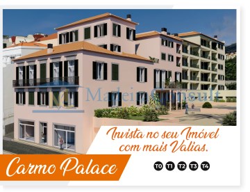 3D_Carmo Palace (2)