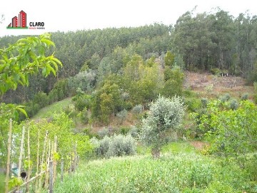 Terreno em Santo António dos Olivais