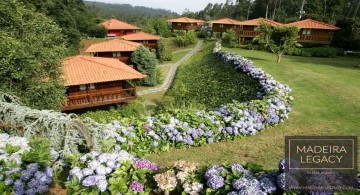 Loja em Santo António da Serra