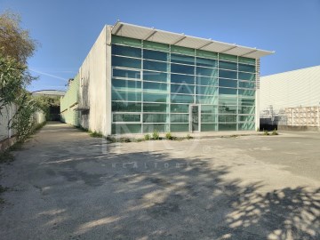 Industrial building / warehouse in Bustos, Troviscal e Mamarrosa