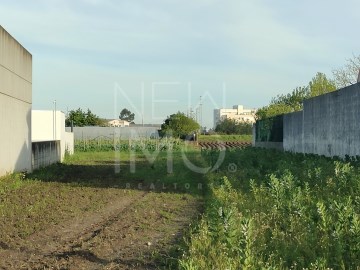 Terreno em Glória e Vera Cruz