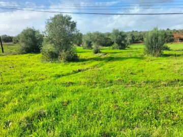 Land in Caia, São Pedro e Alcáçova