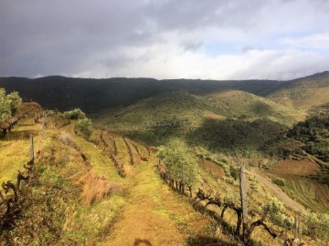 Terreno em Vila Seca e Santo Adrião