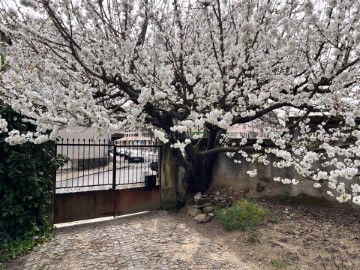 Maison 5 Chambres à União das freguesias de Vila Real