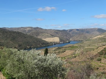 Terreno em Seixo de Ansiães