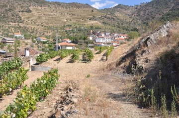 Terreno em Seixo de Ansiães