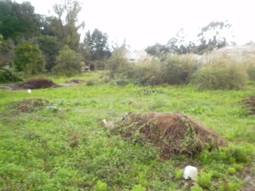 Terre à Pedroso e Seixezelo