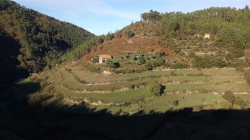 Country homes  in Loriga