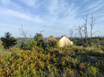 Quintas e casas rústicas  em Torrozelo e Folhadosa