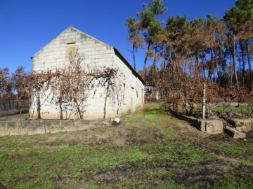 Maisons de campagne  à Sameice e Santa Eulália