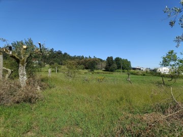 Quintas e casas rústicas  em Vila Nova de Tazem