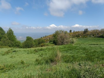 Quintas e casas rústicas  em Cortiçô da Serra, Vide Entre Vinhas e Salgueirais