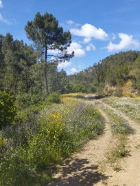 Terrenos en Marmelete