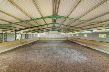 Maisons de campagne 4 Chambres à Bacelo e Senhora da Saúde