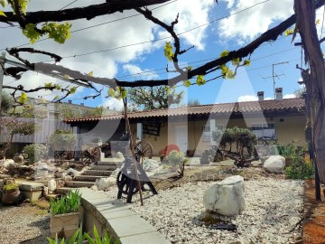 Quintas e casas rústicas 1 Quarto em Esmolfe