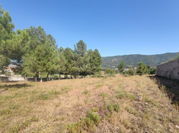 Terreno em Madalena e Samaiões