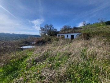 Terreno em Almoster