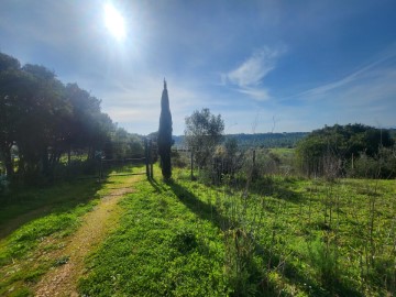 Terre à Almoster