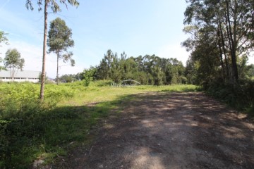 Land in Vale (São Cosme), Telhado e Portela