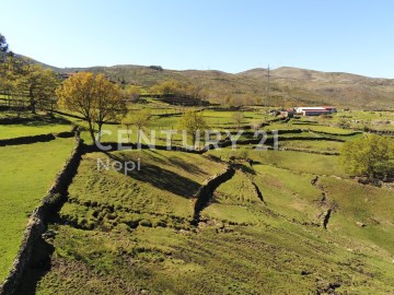 Moradia 2 Quartos em Ruivães e Campos