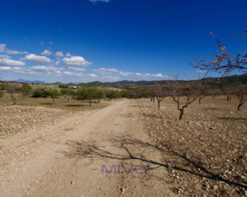 Terrenos en Murcia Centro