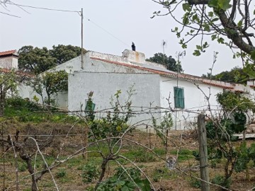 Quintas e casas rústicas 5 Quartos em Évora Monte (Santa Maria)