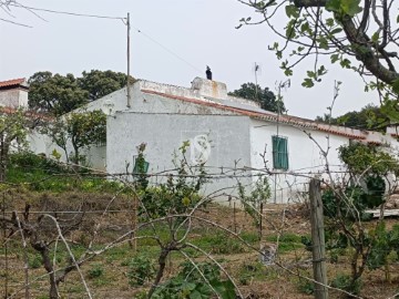 Casas rústicas 5 Habitaciones en Évora Monte (Santa Maria)