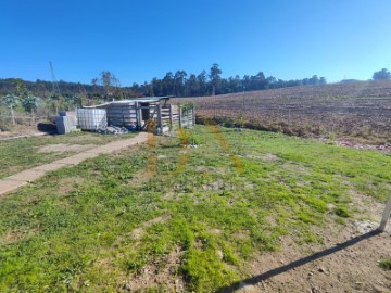 Terreno com area bem generosa