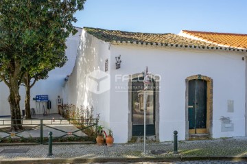 House 3 Bedrooms in Golegã