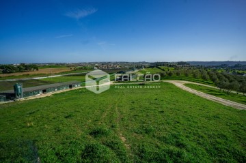 Country homes in Moçarria