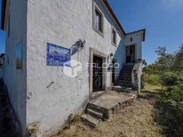 Quintas e casas rústicas 4 Quartos em São João da Ribeira e Ribeira de São João