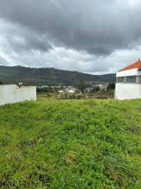 Terreno em Campo e Sobrado