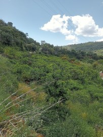 Terrenos en Estepona Pueblo