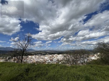 Terrenos en Coín