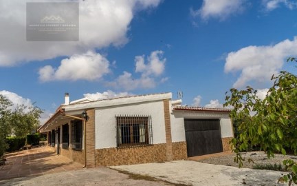 House 5 Bedrooms in Álora