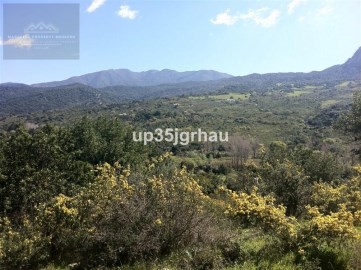 Terreno em Gaucín