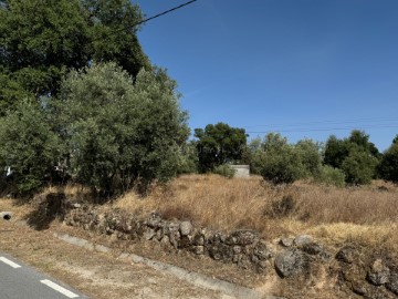 Terreno em Pedrógão de São Pedro e Bemposta