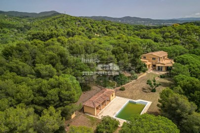 House 7 Bedrooms in Centre-El Pedró