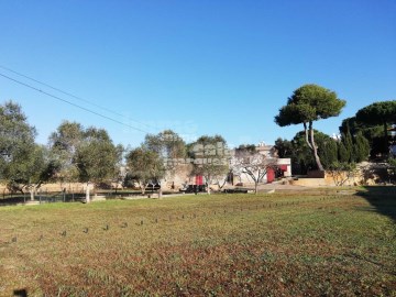 MASÍA CON GRAN TERRENO SITUADA A POCOS MINUTOS DEL