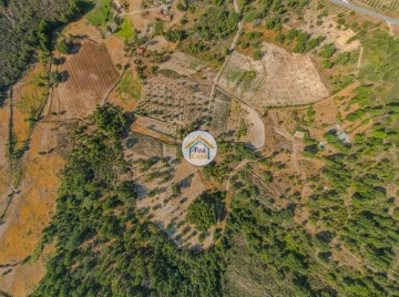 Terre à Ferreirim e Macieira